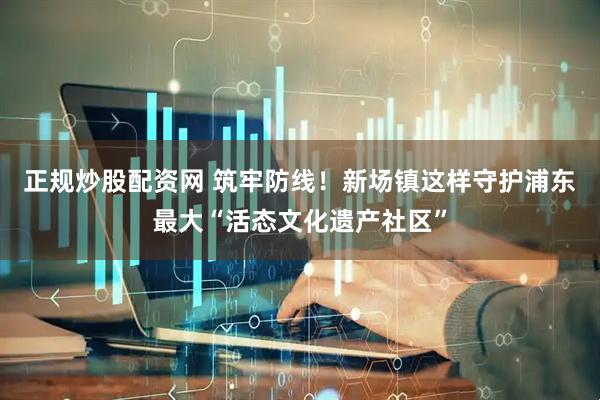 正规炒股配资网 筑牢防线！新场镇这样守护浦东最大“活态文化遗产社区”